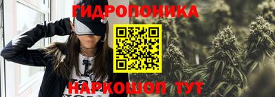 дмт Кинель