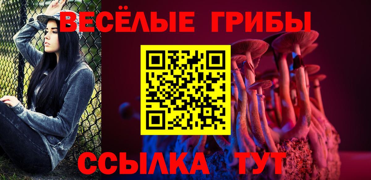 Галлюциногенные грибы MAGIC MUSHROOMS  Вход с VPN  закладки  Кингисепп 